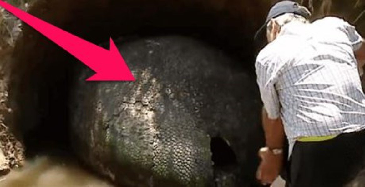 Farmer Stumbles Upon Big ‘Dinosaur Egg’
