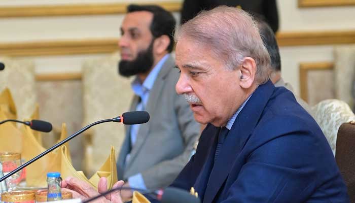 Pakistan’s Economic Progress and Diplomatic Achievements Under Prime Minister Shahbaz Sharif’s Leadership