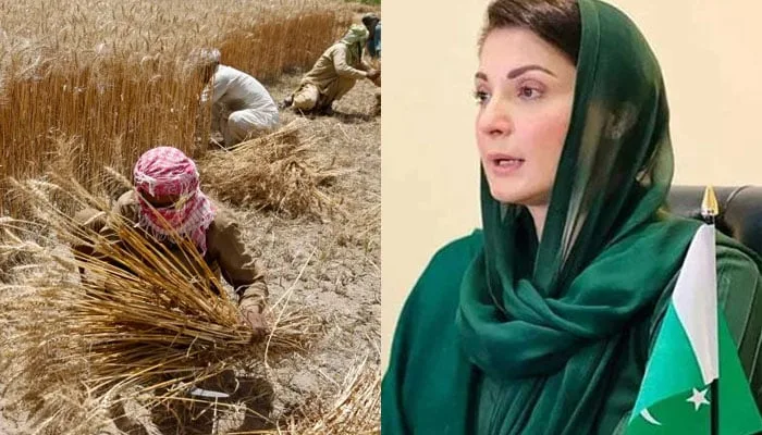 Punjab Chief Minister Maryam Nawaz Announces Direct Subsidy for Farmers to Eliminate Corruption in Wheat Purchase