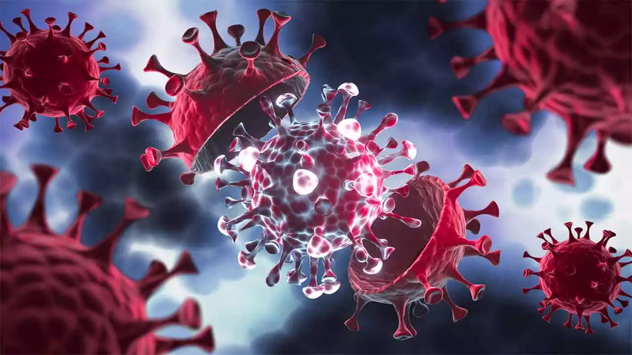 The Impact of Global Environmental Changes on Disease Outbreaks: A Comprehensive Review