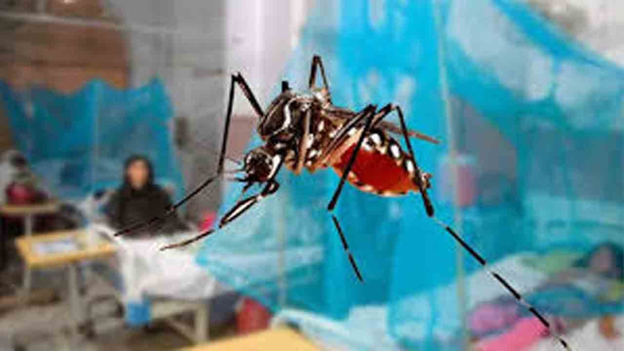 Ongoing Dengue Attacks Persist Despite Hot Weather in Lahore