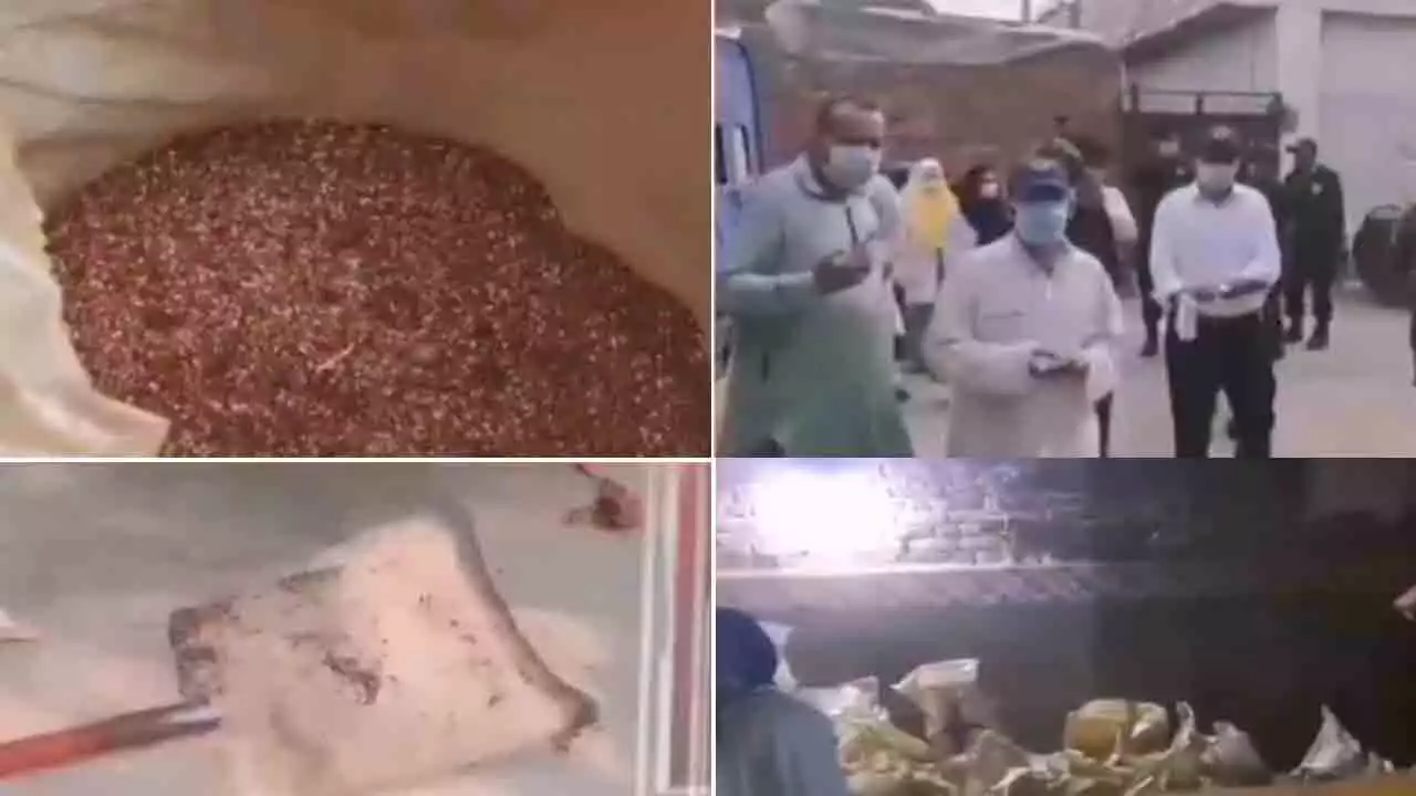 Punjab Food Authority