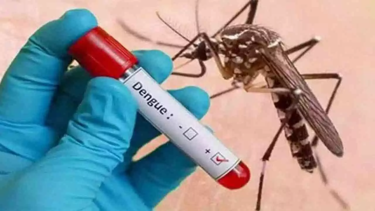 Dengue Cases