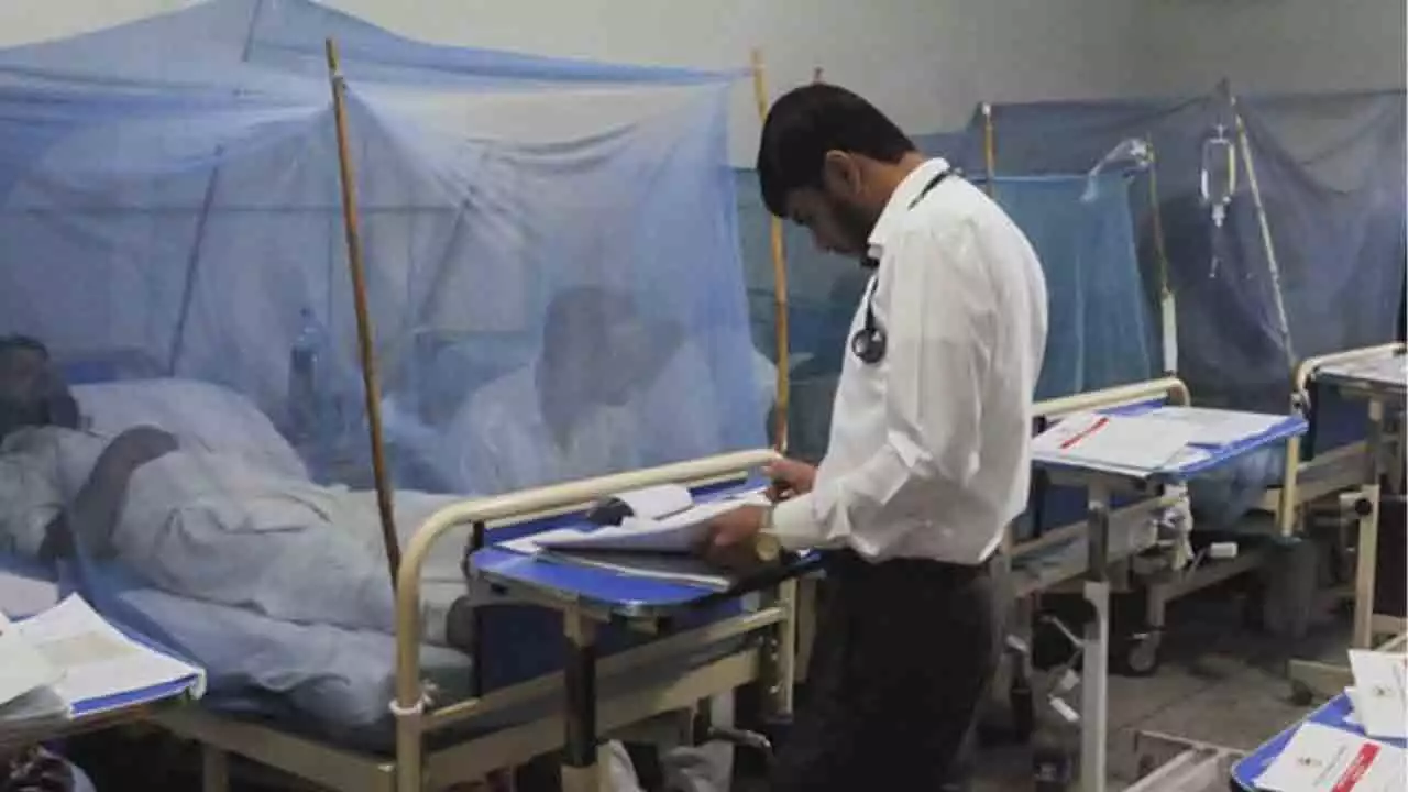 Dengue Cases Surge