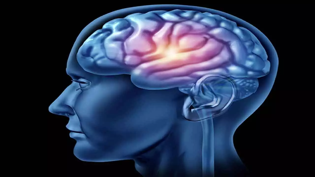 Anti-Aging Research