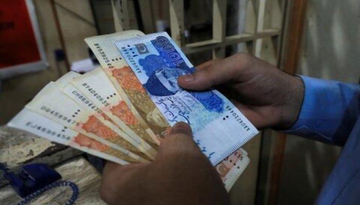 Pakistan Audit Report