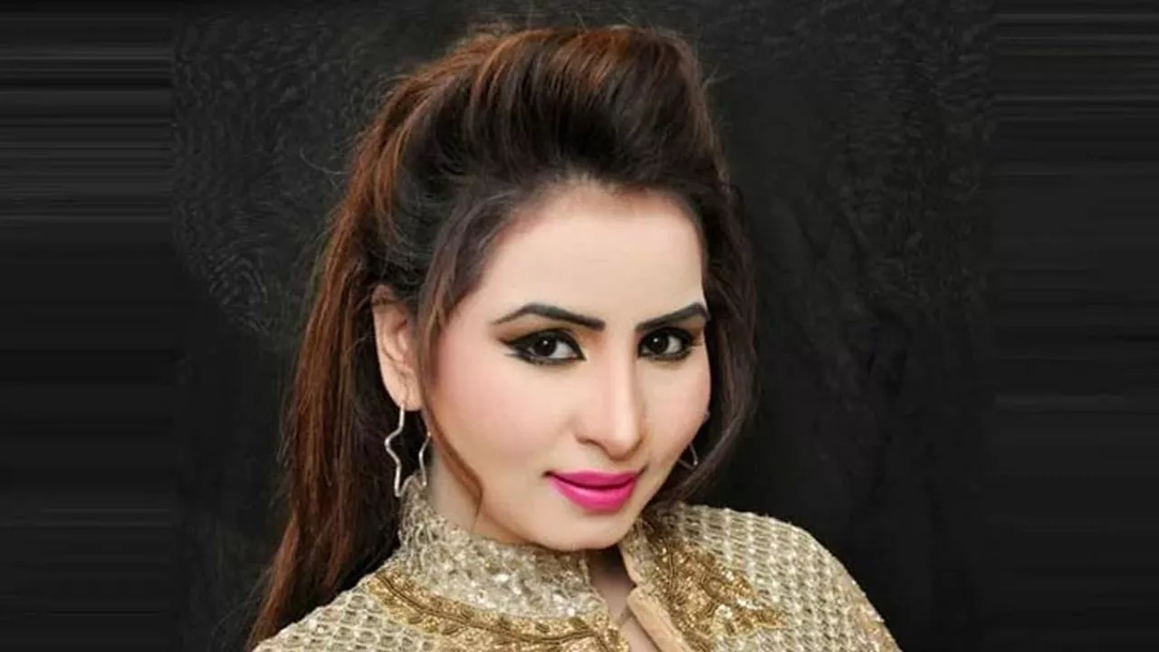 Nigar Chaudhry House Robbery Case: Police Register FIR Against Former Inspector