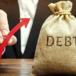 Pakistan Domestic Debt