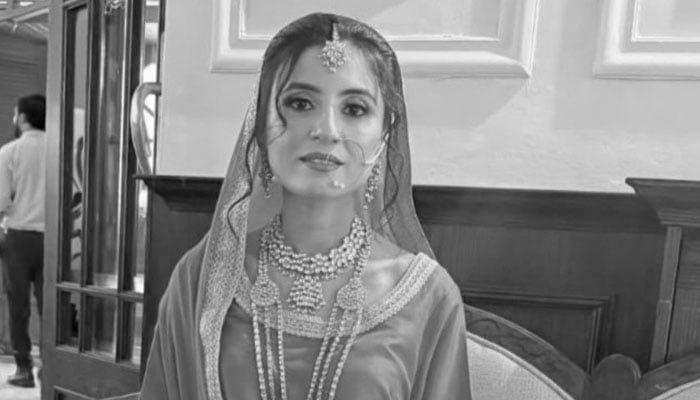 Hina Javed Murder Case: Court Extends Suspects’ Remand