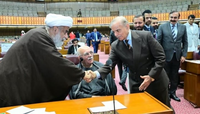 Achakzai Shehbaz Sharif meeting