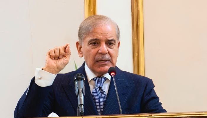 Shehbaz Sharif Calls for Quick Relief Projects in KP