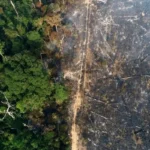 Amazon deforestation decline